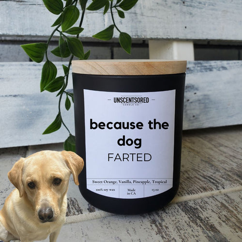 because the dog farted funny candle luxury candle gifts for pet dog lovers