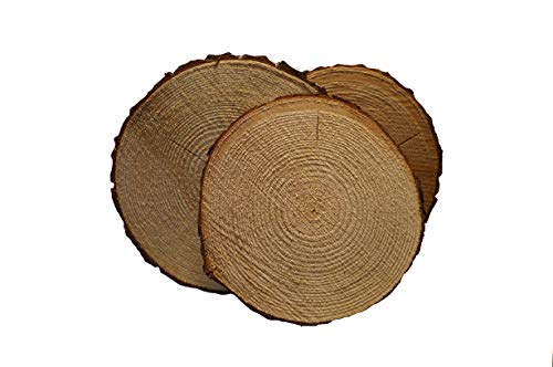 5 Pack Round Rustic Woods Slices with Cracks, 9"-12", Unfinished Wood, Great for Weddings Centerpieces, Crafts