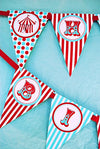 Circus Carnival Happy Birthday Banner Pennant