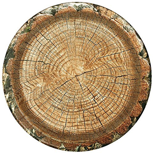 Cut Timber Party Plate (Large 10", round, 8 Pack) Cut Timber Party Collection by Havercamp