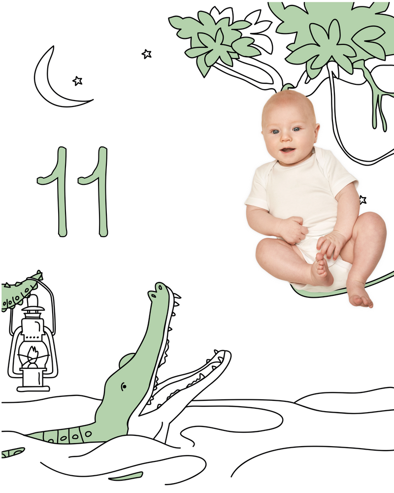 Alligator Sketch Baby Photo Backdrop Photo Prop Background Monthly Pictures Milestone Backdrop