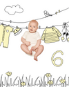 Clothesline Onesie Sketch Baby Photo Backdrop Photo Prop Background Monthly Pictures Milestone Backdrop