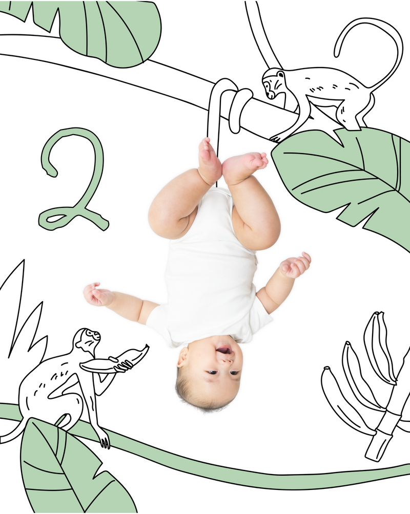 Monkey Sketch Baby Photo Backdrop Photo Prop Background Monthly Pictures Milestone Backdrop