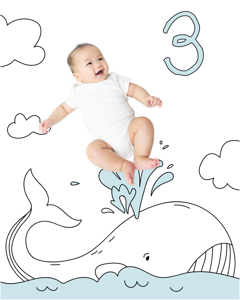 Whale Ocean Sketch Baby Photo Backdrop Photo Prop Background Monthly Pictures Milestone Backdrop