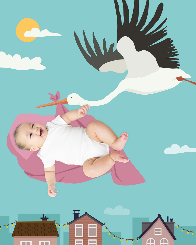 Stork Baby Photo Backdrop Background Announcement Adventure Monthly Pictures Milestone Backdrop