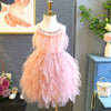 Girls Feather and Tulle Dresses for Birthdays Pageants Spring Dance with Bead Detailing