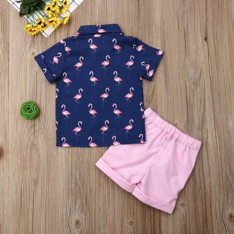 Boys Flamingo Shirt Button Up and Shorts Set Cute Toddler Boy Outfits Tropical Hawaii