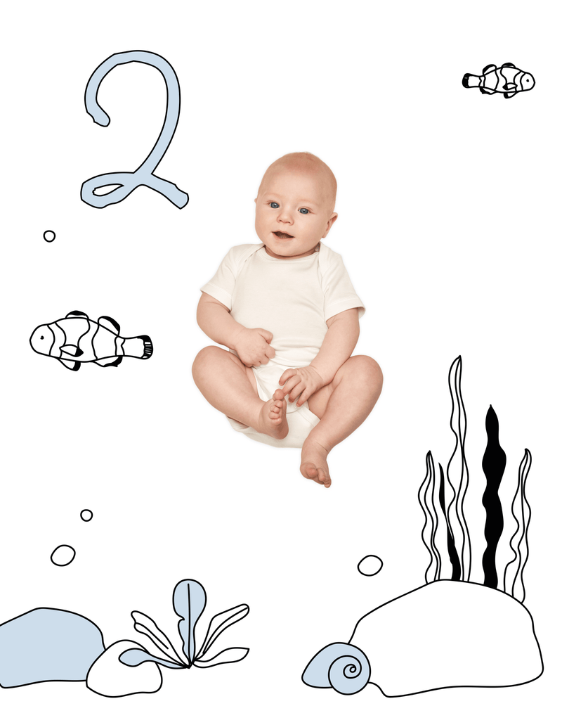 Under the Sea Sketch Baby Photo Backdrop Fish Background Monthly Pictures Milestone Backdrop