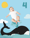 Whale Baby Photo Backdrop Background Beach Ocean Monthly Pictures Milestone Backdrop Blanket